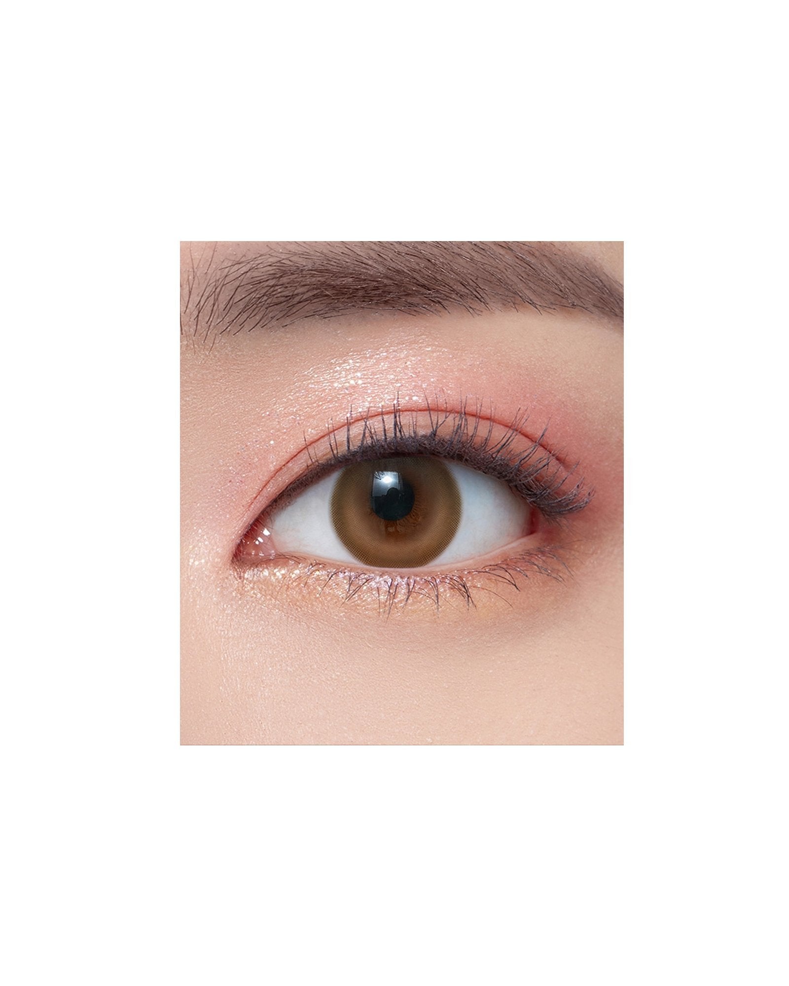 OLENS Cherry Moon Brown (1 Month, 2 lens/box) - OLENS - lenscottage