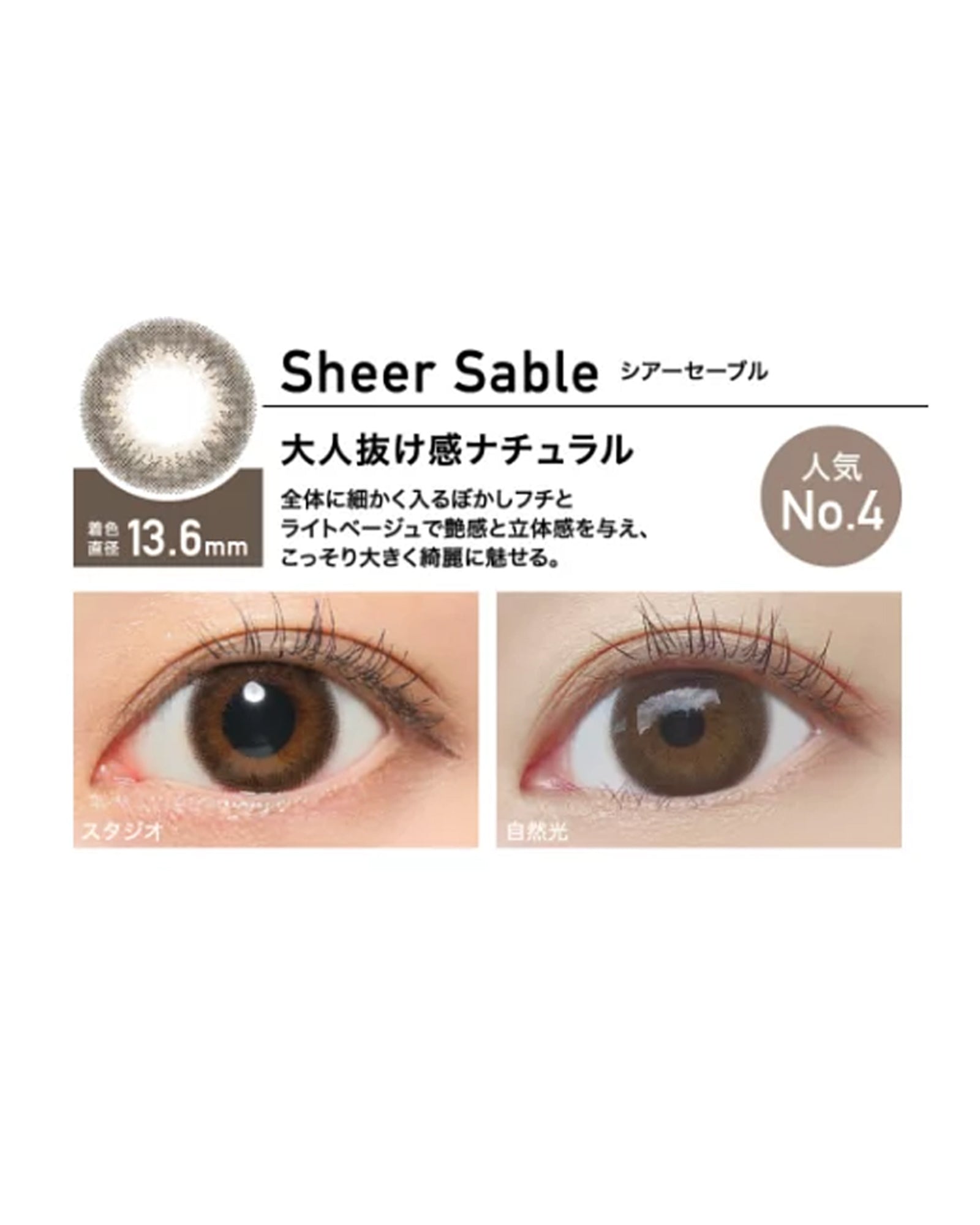 RêVIA 1 DAY Sheer Sable (1 Day, 10 lens/box) - RêVIA - lenscottage